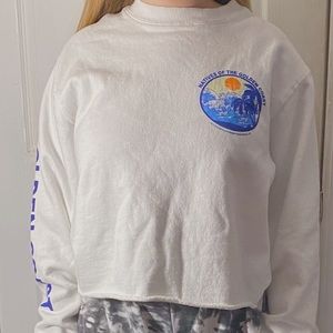 brandy melville cropped long sleeve